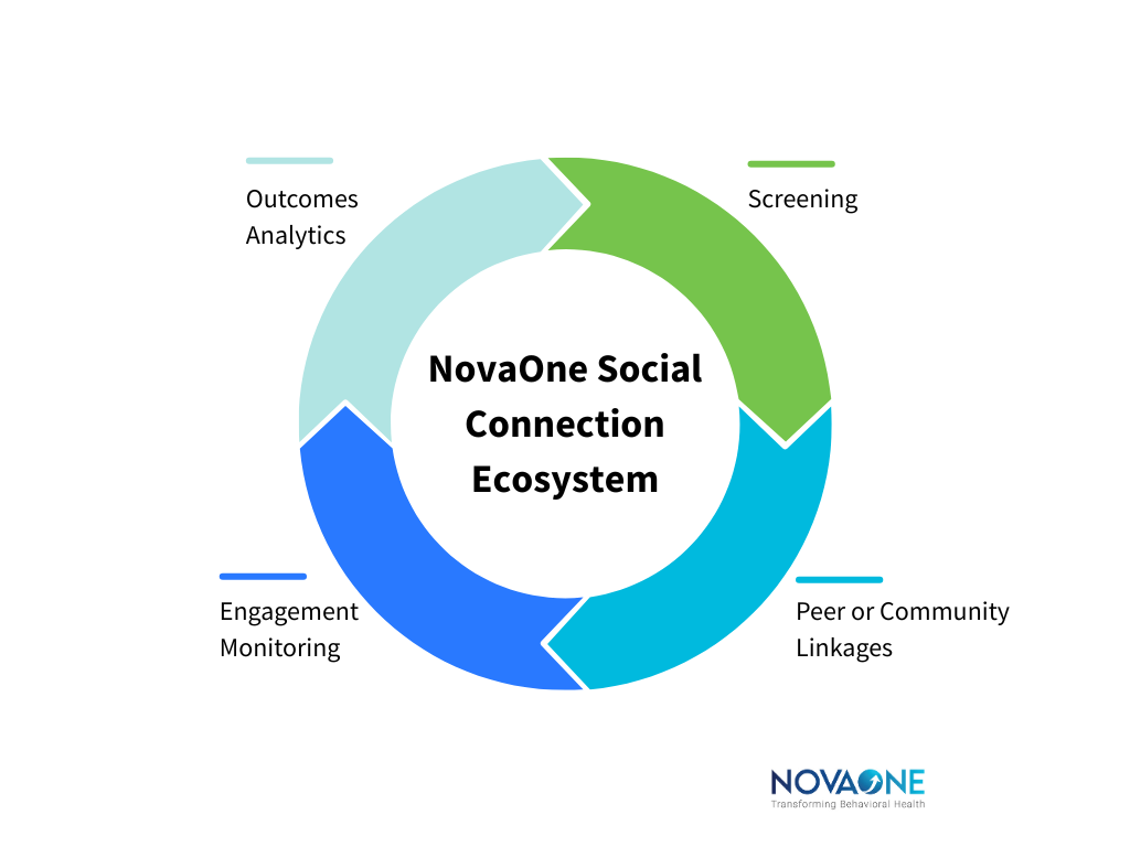 NovaOne social connection ecosystem
